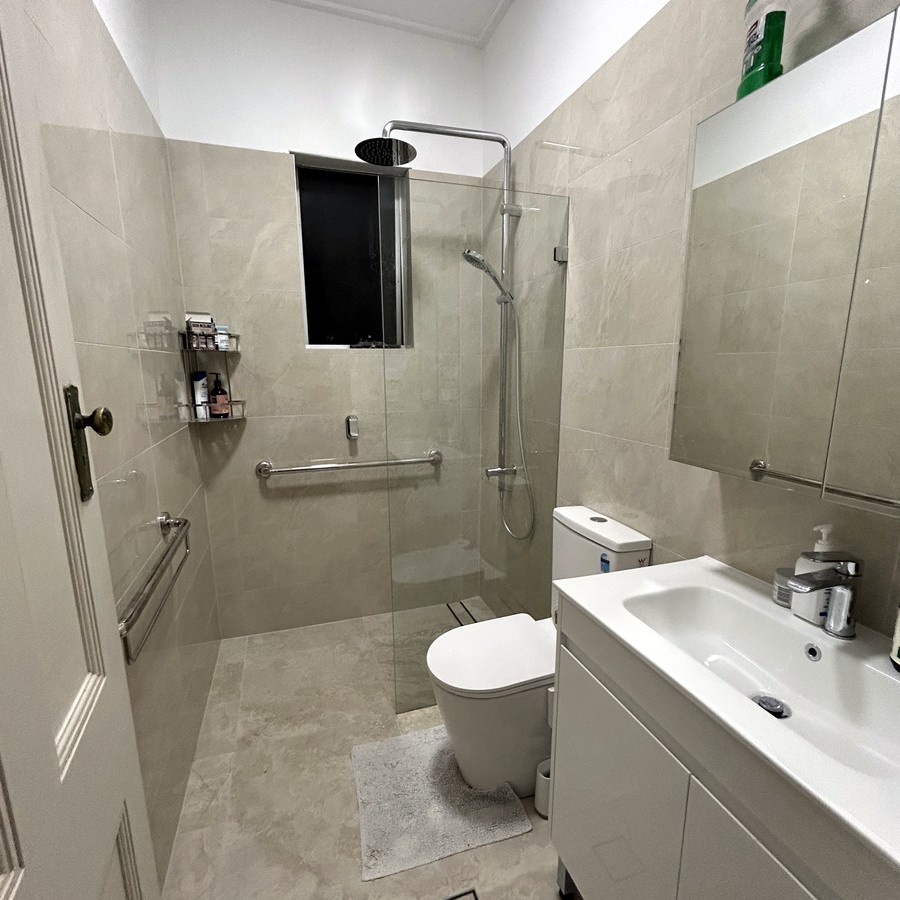 Level-entry shower with grab rails and hand-held shower