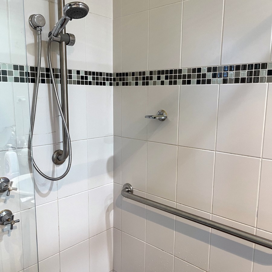 Shower grab rail with a hand-held shower rail