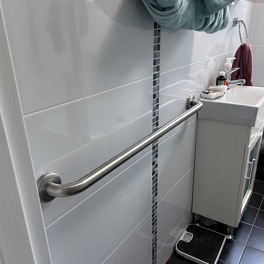 Vertical grab rail and hand-held shower